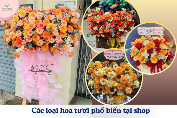 Shop Hoa Tươi Tân Bình – Giao Hoa Nhanh Gần Sân Bay Tân Sơn Nhất